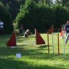 agility verriere 2011-10-01